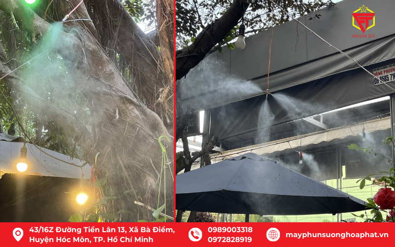 1-5 lý do nên lắp đặt máy phun sương vào mùa nóng