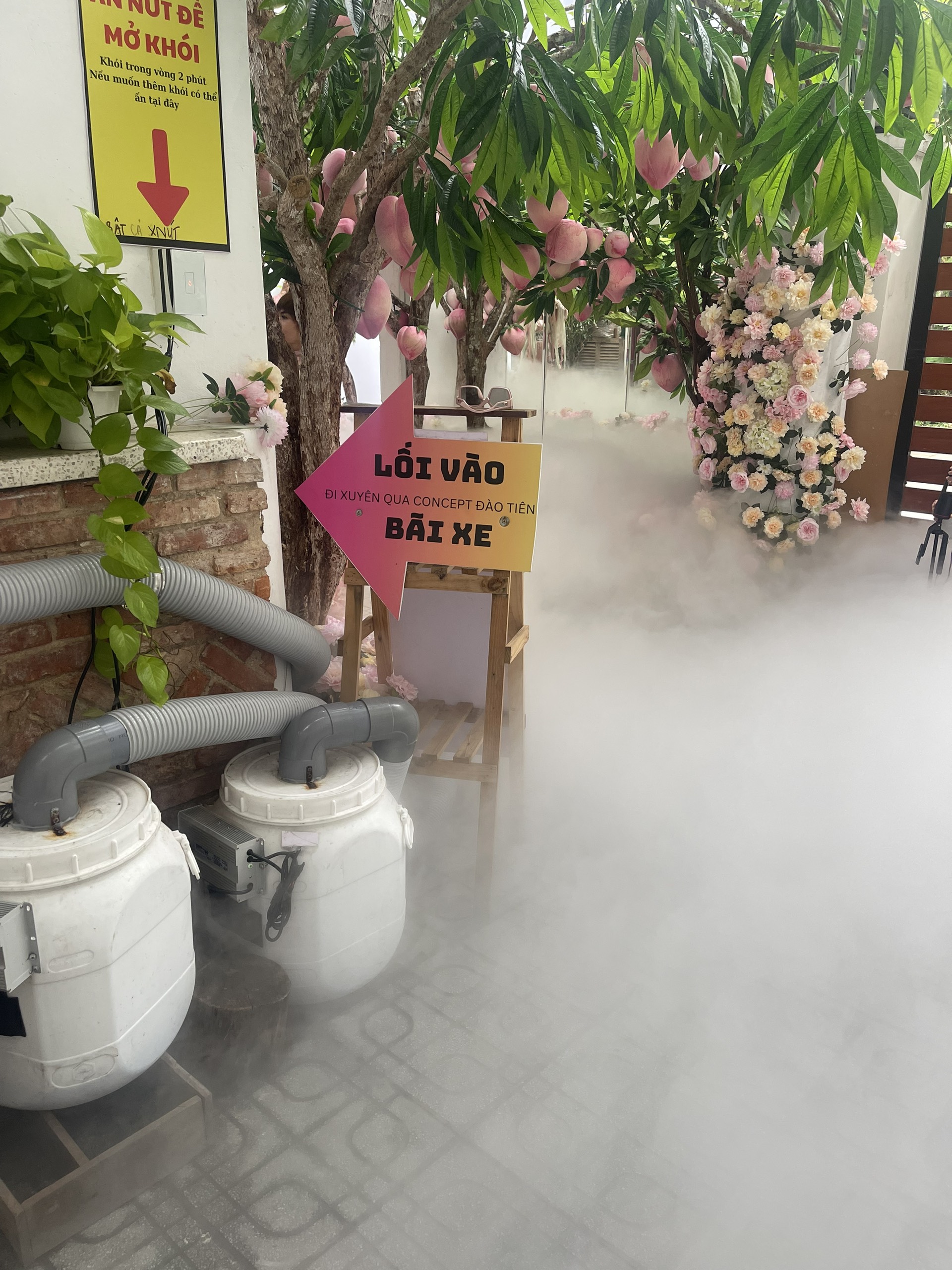 z5657076361033_25e1b06bfb86c3e42f56970d28816726